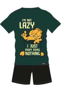 ΟΔΗΓΟΣ 1284